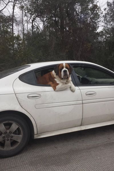 daily picdump 92 pics 2.html - 92 HD Photos | Premium Gallery 2014