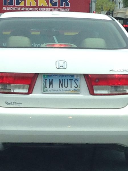 daily picdump 92 pics 2.html - 92 HD Photos | Premium Gallery 2014