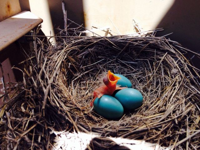 morning picdump 55 pics 32.html - 55 HD Photos | Premium Gallery 2014