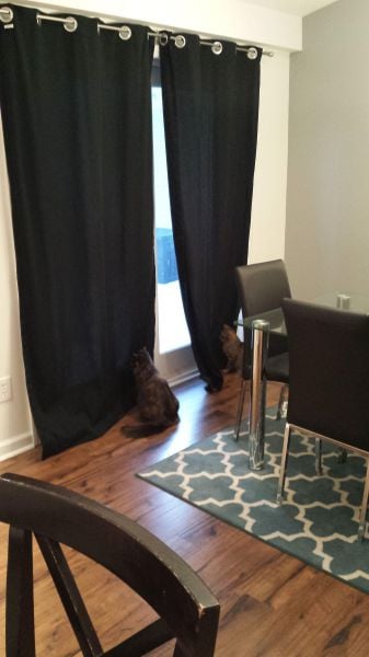 morning picdump 59 pics 16.html - 59 HD Photos | Premium Gallery 2014