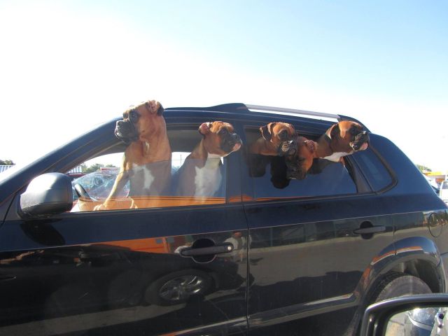 morning picdump 59 pics 16.html - 59 HD Photos | Premium Gallery 2014