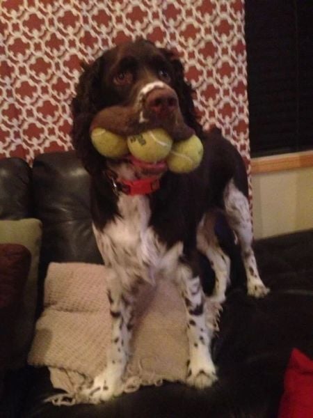 morning picdump 59 pics 16.html - 59 HD Photos | Premium Gallery 2014