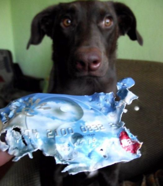 morning picdump 57 pics 2.html - 57 HD Photos | Premium Gallery 2014