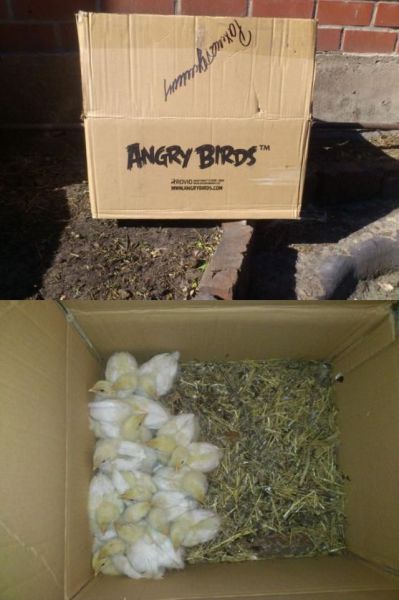 morning picdump 57 pics 2.html - 57 HD Photos | Premium Gallery 2014