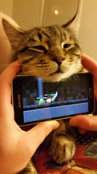 morning picdump 57 pics 2.html - 57 HD Photos | Premium Gallery 2014