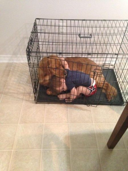 morning picdump 57 pics 2.html - 57 HD Photos | Premium Gallery 2014