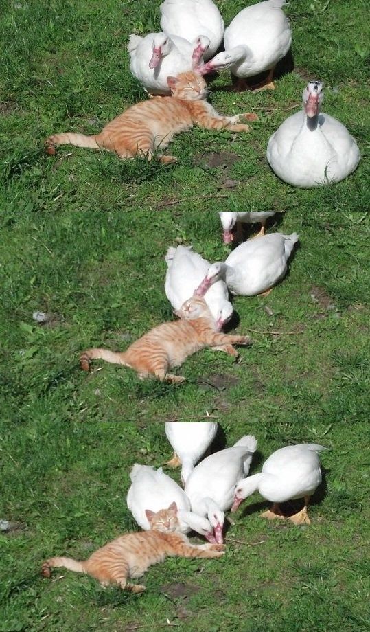 morning picdump 57 pics 2.html - 57 HD Photos | Premium Gallery 2014