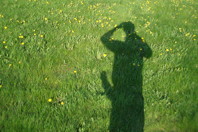 Accidental Shadows Full of Sexual Innuendo