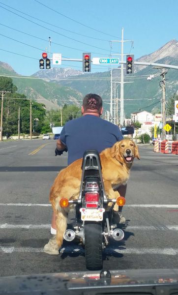 morning picdump 57 pics 4.html - 57 HD Photos | Premium Gallery 2014