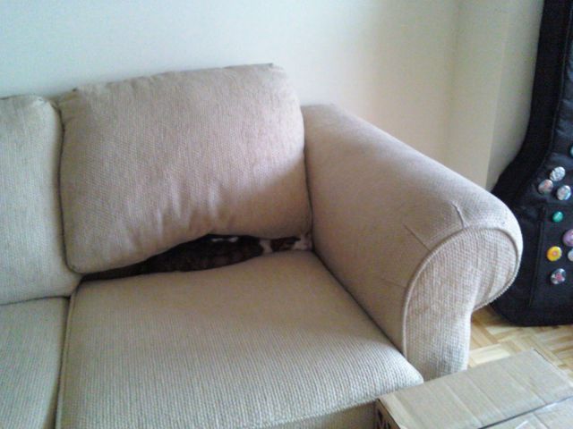 morning picdump 57 pics 4.html - 57 HD Photos | Premium Gallery 2014