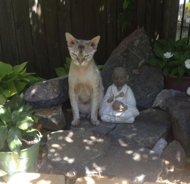 morning picdump 57 pics 4.html - 57 HD Photos | Premium Gallery 2014