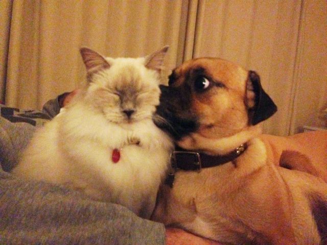 morning picdump 58 pics 9.html - 58 HD Photos | Premium Gallery 2014