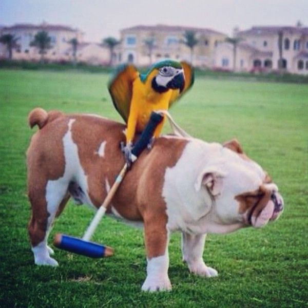 morning picdump 58 pics 9.html - 58 HD Photos | Premium Gallery 2014