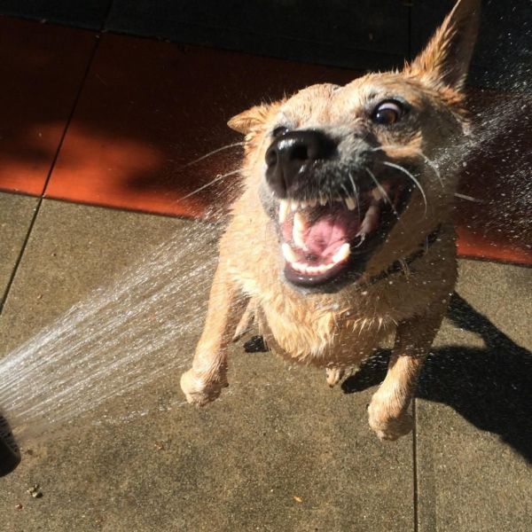 morning picdump 58 pics 9.html - 58 HD Photos | Premium Gallery 2014