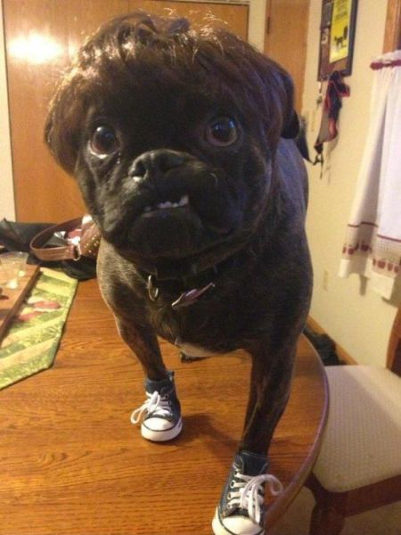 morning picdump 56 pics 1.html - 56 HD Photos | Premium Gallery 2014