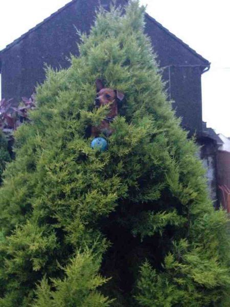 morning picdump 56 pics 1.html - 56 HD Photos | Premium Gallery 2014