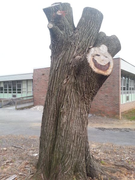 morning picdump 56 pics 3.html - 56 HD Photos | Premium Gallery 2014