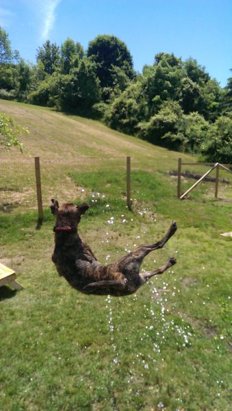 morning picdump 56 pics 3.html - 56 HD Photos | Premium Gallery 2014