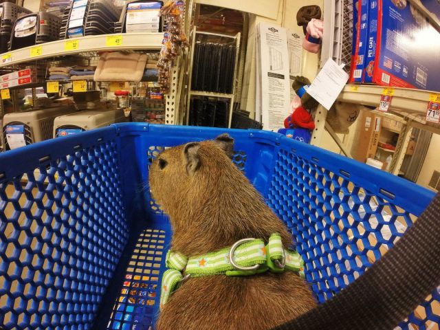 morning picdump 57 pics 27.html - 57 HD Photos | Premium Gallery 2014