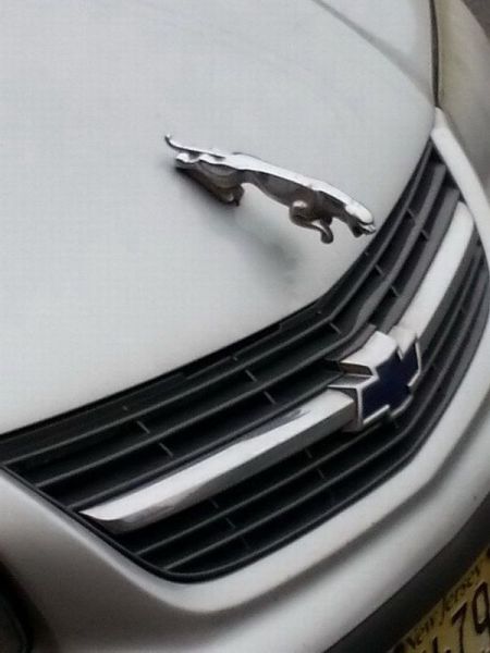 morning picdump 57 pics 27.html - 57 HD Photos | Premium Gallery 2014