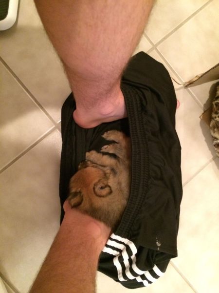 morning picdump 57 pics 27.html - 57 HD Photos | Premium Gallery 2014