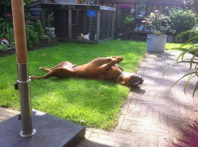 morning picdump 57 pics 27.html - 57 HD Photos | Premium Gallery 2014