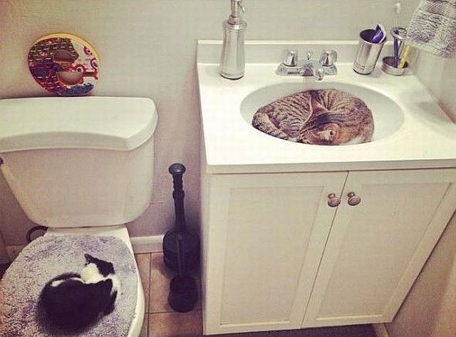 morning picdump 57 pics 27.html - 57 HD Photos | Premium Gallery 2014