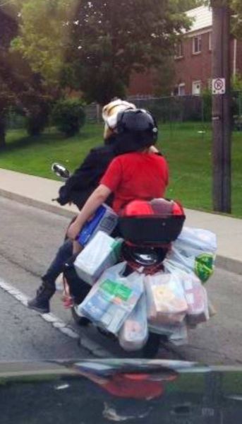 morning picdump 57 pics 27.html - 57 HD Photos | Premium Gallery 2014