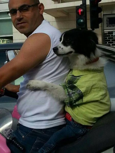 morning picdump 54 pics 27.html - 54 HD Photos | Premium Gallery 2014