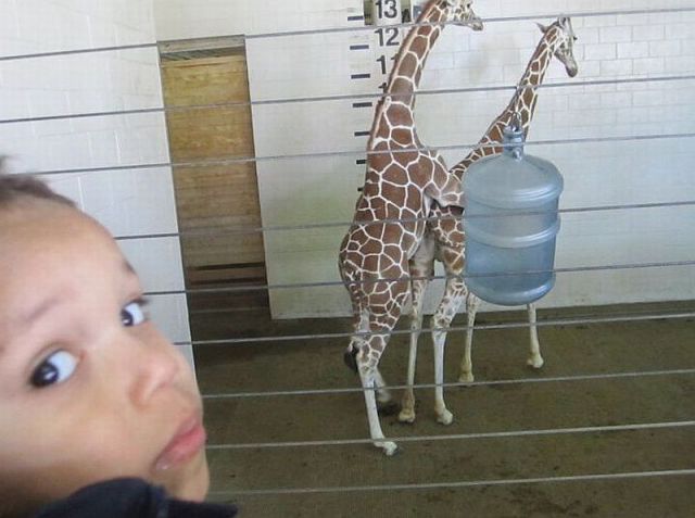 morning picdump 54 pics 27.html - 54 HD Photos | Premium Gallery 2014