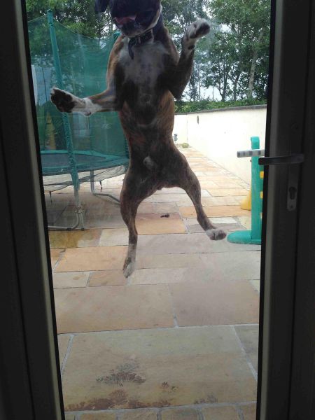 morning picdump 54 pics 27.html - 54 HD Photos | Premium Gallery 2014