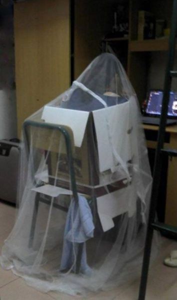 morning picdump 59 pics 8.html - 59 HD Photos | Premium Gallery 2014