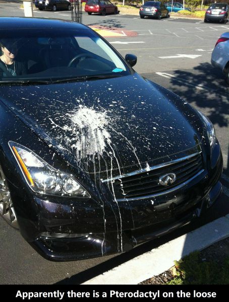 morning picdump 59 pics 8.html - 59 HD Photos | Premium Gallery 2014