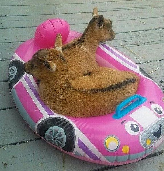 morning picdump 57 pics 55.html - 57 HD Photos | Premium Gallery 2014