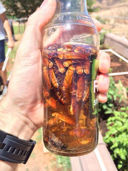 morning picdump 57 pics 55.html - 57 HD Photos | Premium Gallery 2014