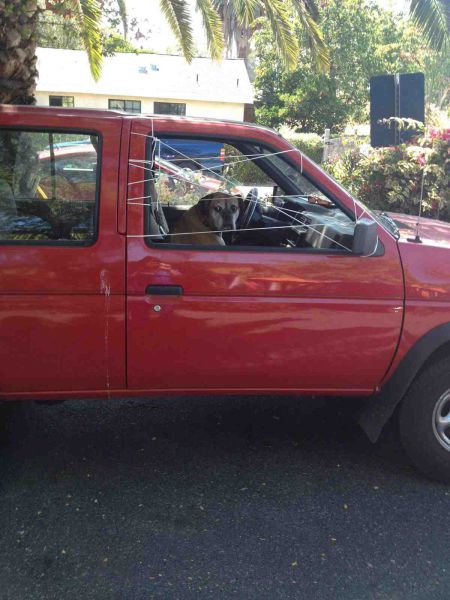 morning picdump 56 pics 52.html - 56 HD Photos | Premium Gallery 2014