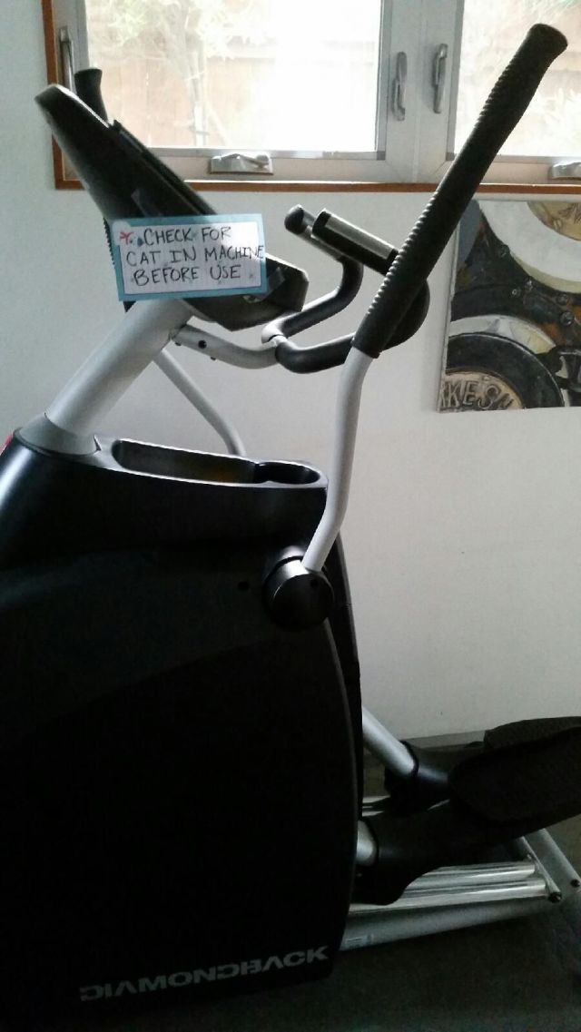 morning picdump 56 pics 52.html - 56 HD Photos | Premium Gallery 2014