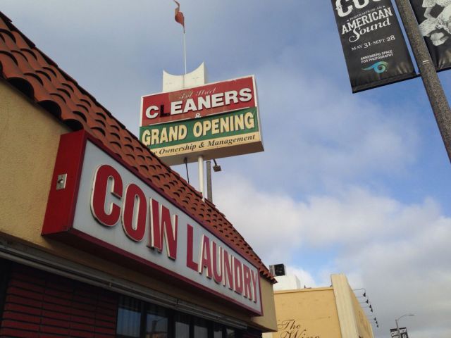 morning picdump 57 pics 55.html - 57 HD Photos | Premium Gallery 2014