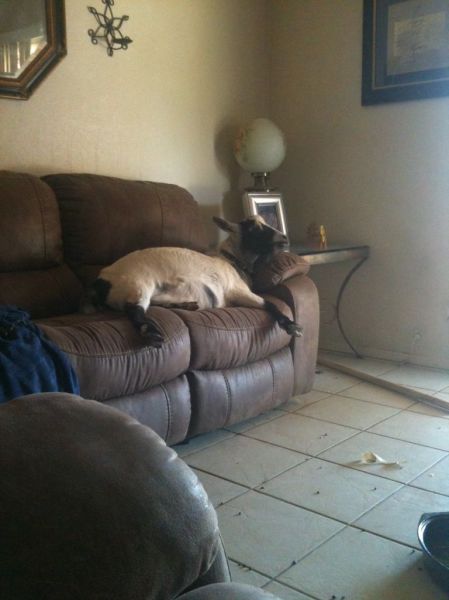 morning picdump 57 pics 55.html - 57 HD Photos | Premium Gallery 2014