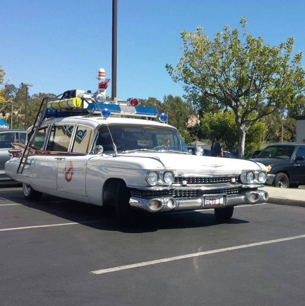 morning picdump 57 pics 55.html - 57 HD Photos | Premium Gallery 2014