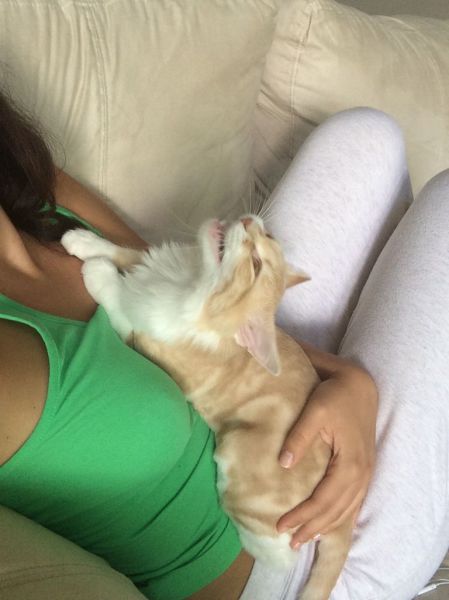 morning picdump 57 pics 55.html - 57 HD Photos | Premium Gallery 2014