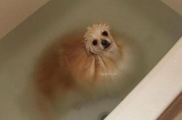 morning picdump 57 pics 55.html - 57 HD Photos | Premium Gallery 2014