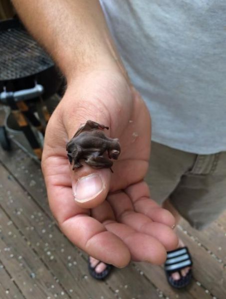 morning picdump 57 pics 55.html - 57 HD Photos | Premium Gallery 2014