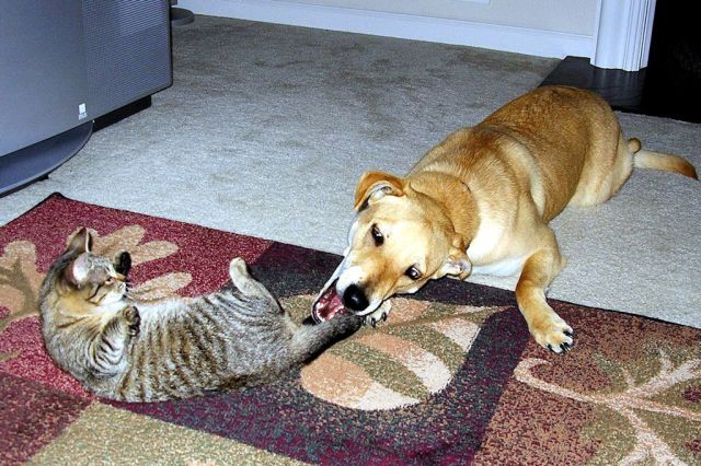 morning picdump 57 pics 55.html - 57 HD Photos | Premium Gallery 2014