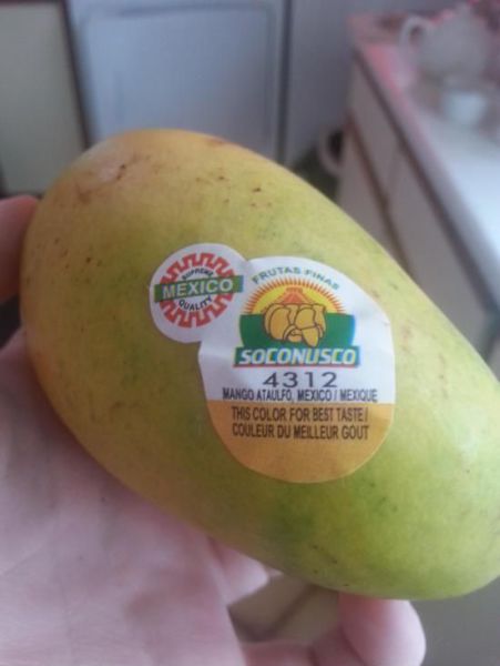 morning picdump 57 pics 55.html - 57 HD Photos | Premium Gallery 2014