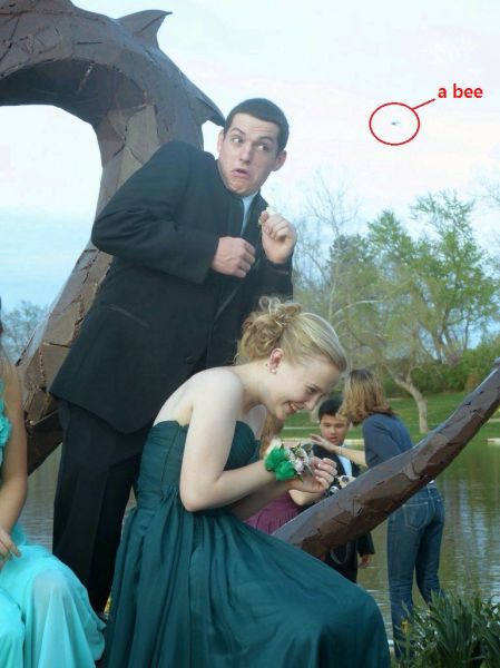 morning picdump 57 pics 55.html - 57 HD Photos | Premium Gallery 2014