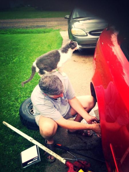 morning picdump 57 pics 15.html - 57 HD Photos | Premium Gallery 2014