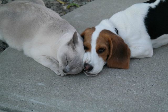 morning picdump 57 pics 15.html - 57 HD Photos | Premium Gallery 2014