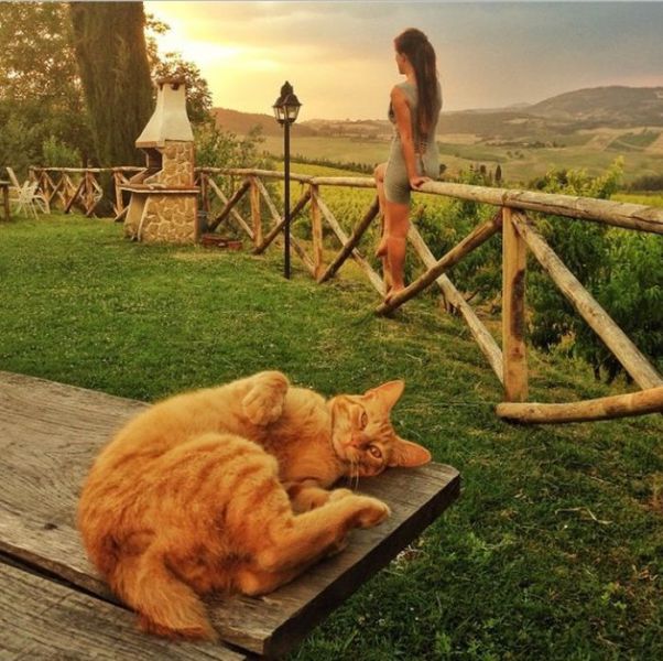 morning picdump 56 pics 4.html - 56 HD Photos | Premium Gallery 2014