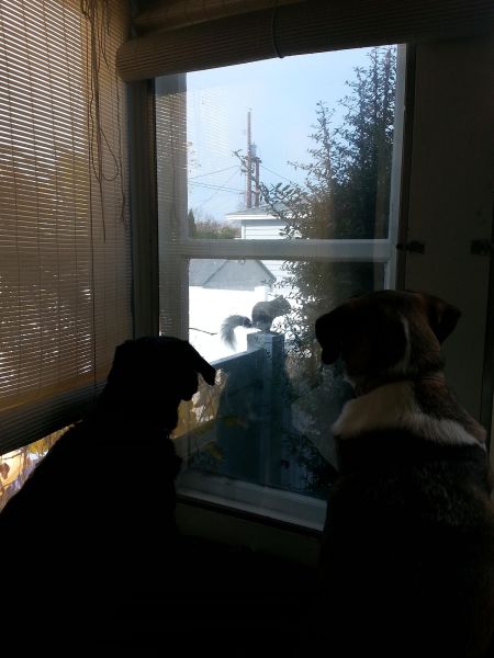 morning picdump 56 pics 4.html - 56 HD Photos | Premium Gallery 2014